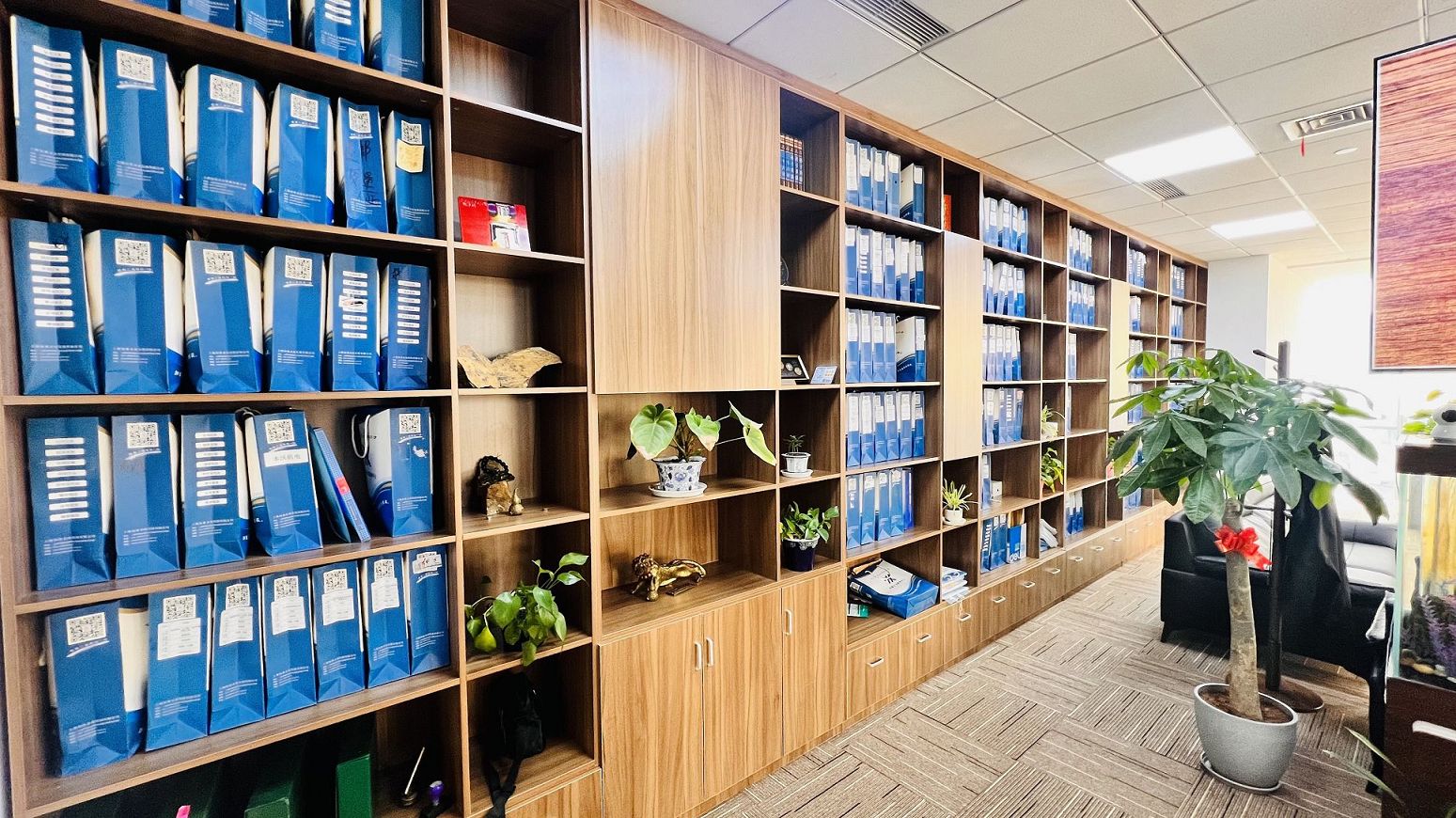 判断虚拟地址注册是否合规的要点是什么？