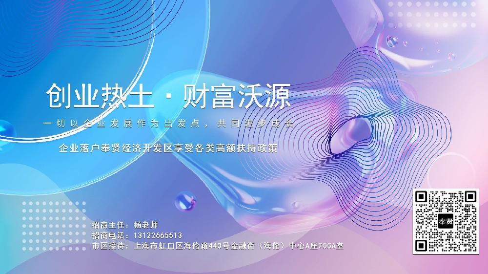 上海奉贤区开发区政策对外资企业的吸引力